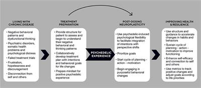 Behavioral <mark class="highlighted">Psychedelics</mark>: Integrating Mind and Behavior to Improve Health and Resilience